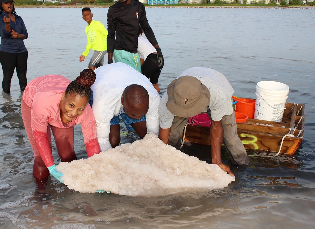 Salt Picking Cultural Experience — Road Bay, Sandy Ground, Anguilla